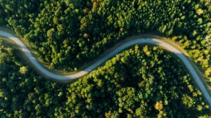 How To Be a Green Changemaker - Zerwaste