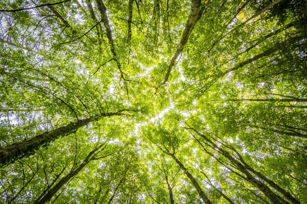 10 Tools to Help You Measure the Impact of Sustainability Initiatives -Zerwaste