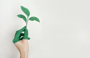Establishing Metrics to Monitor Sustainability Efforts- Zerwaste