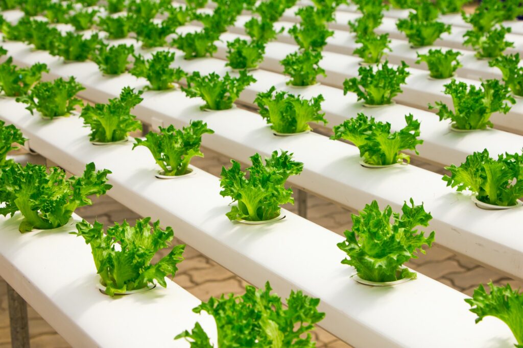 How Can We Avoid Costs with Sustainability and Risk Management - Zerwaste