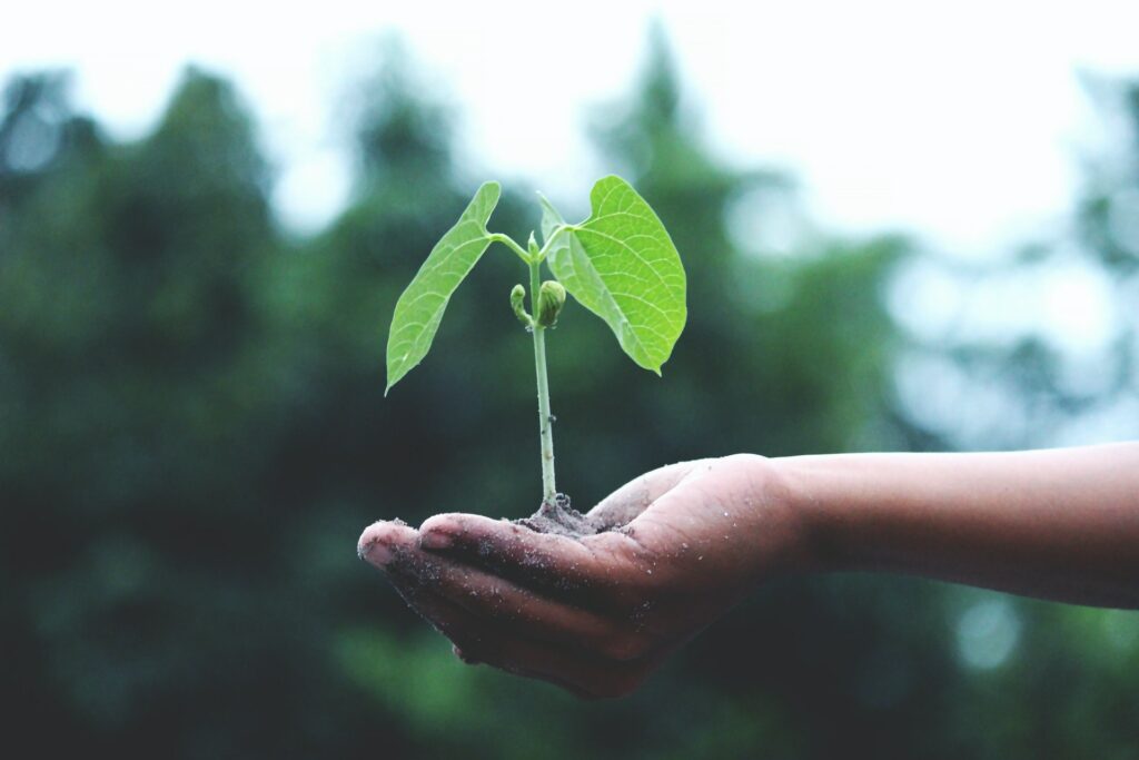 How Can We Generate Additional Revenue Thanks to Sustainability and Growth - Zerwaste