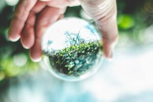 What is circular economy- Zerwaste